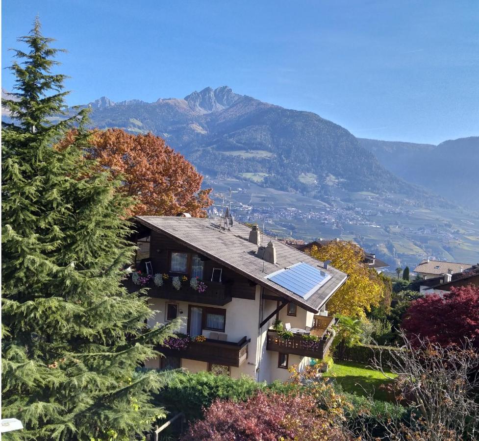 Hotel Lafod 3*